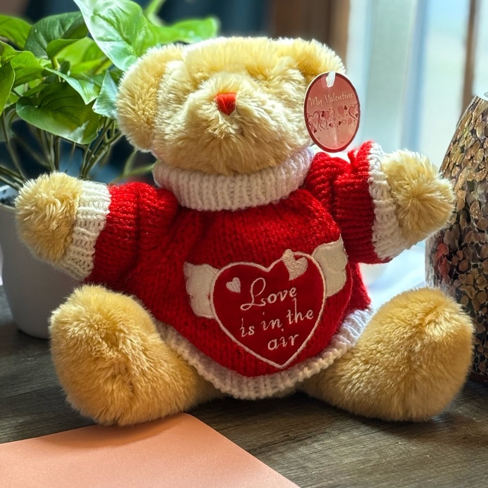 Dan Dee Collector's Choice Valentine's Teddy Bear